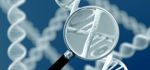 strand-of-dna-under-a-magnifying-glass